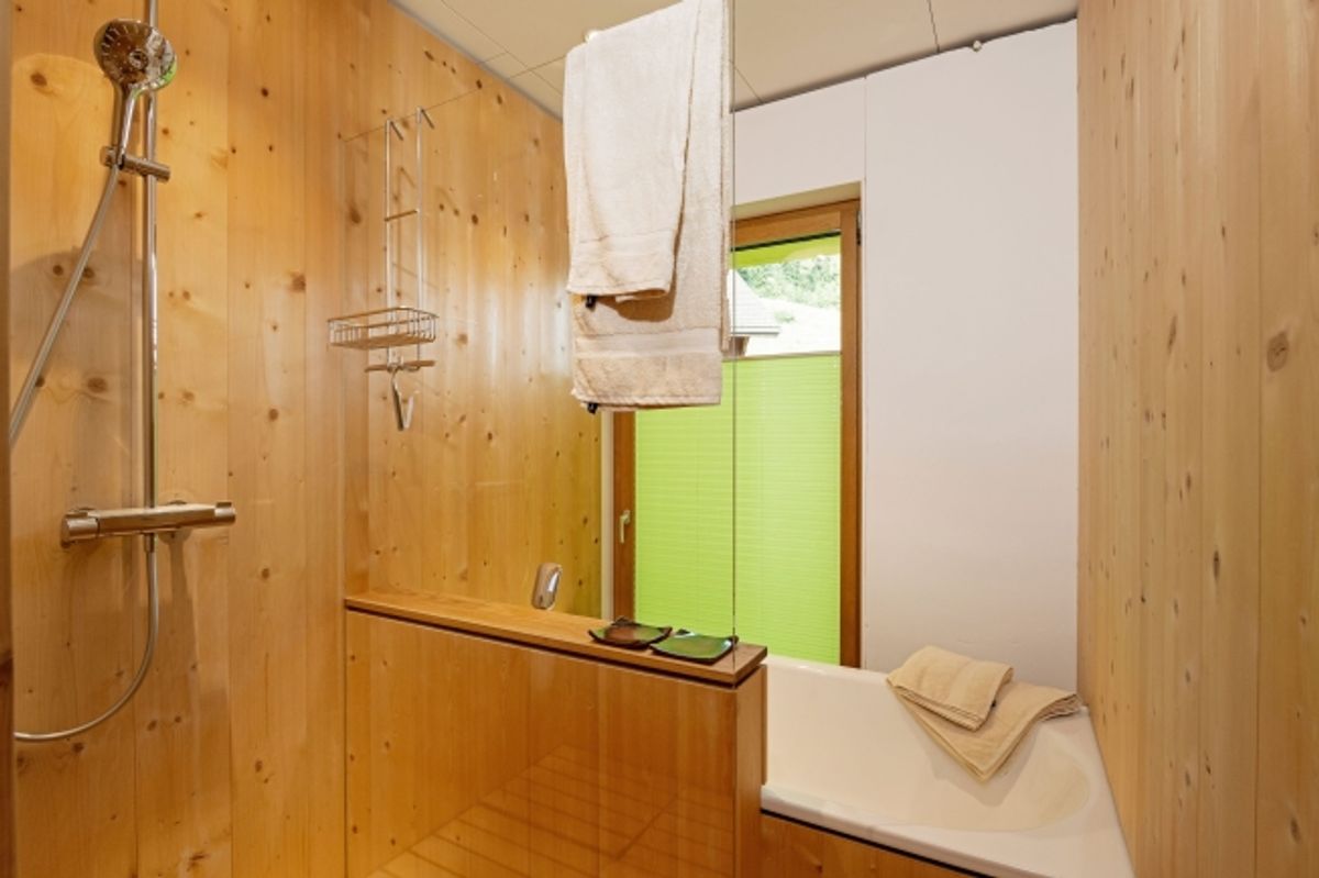 Grosse 2.5-Zi.-Wohnung mit zwei Sitzplätzen unmöbliert - 6