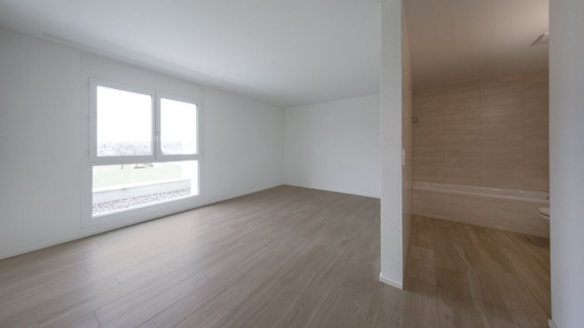 GROSSZÜGIGE UND MODERNE 2.5 ZIMMER-WOHNUNG IN REINACH AG - 3