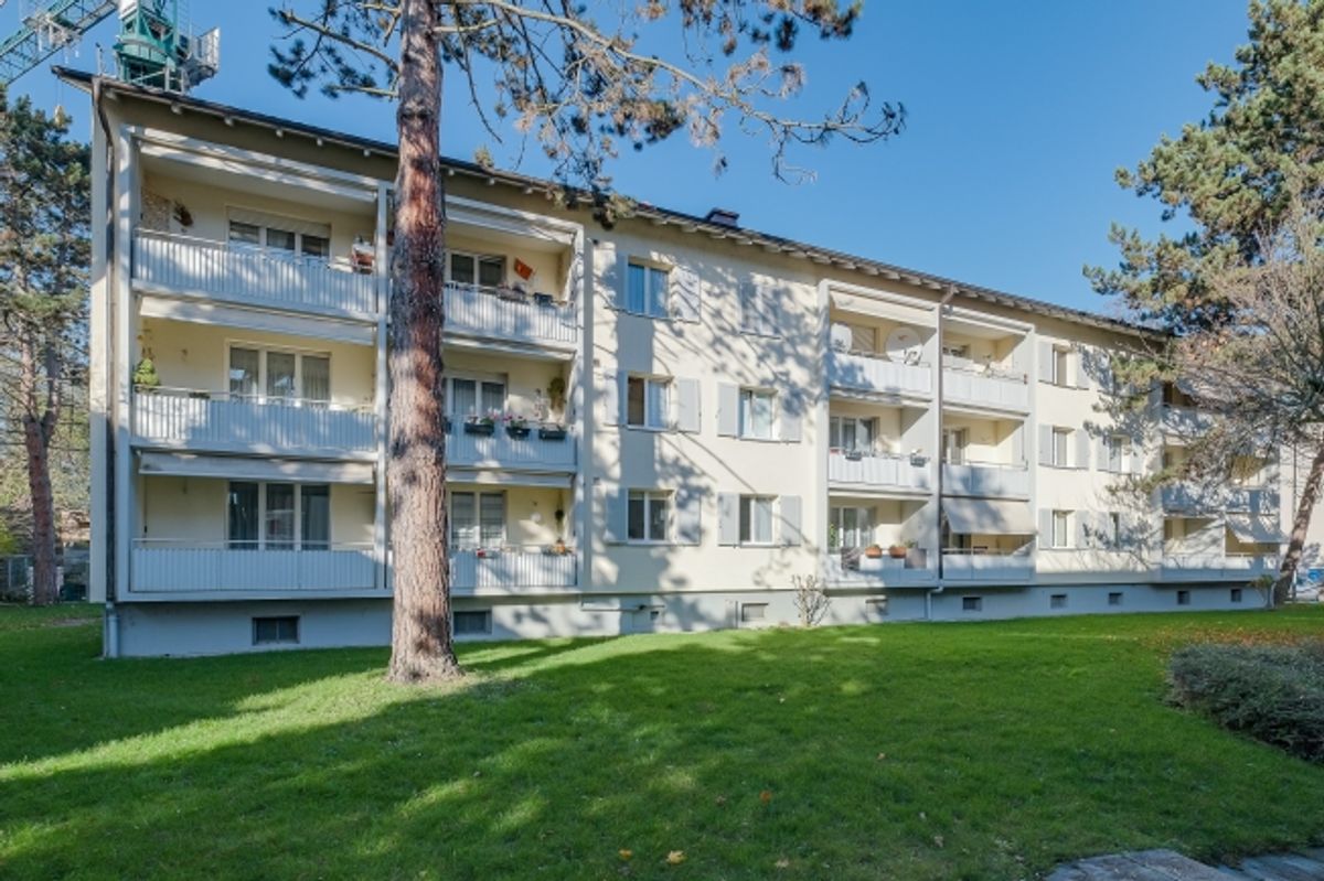 Charmante Wohnung Nähe Lindenplatz - 0