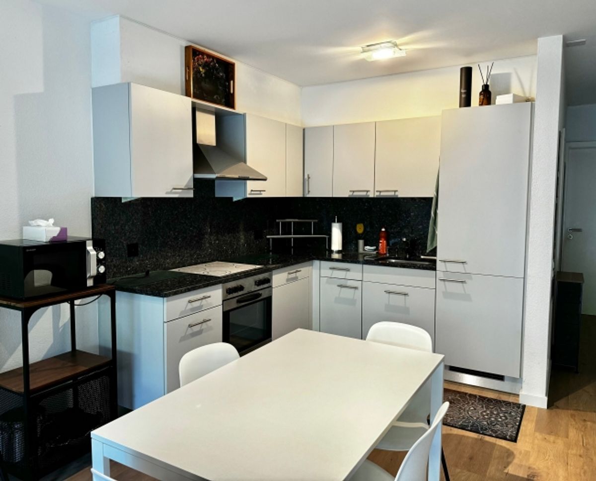 Delizioso appartamento di 2.5 locali ad Ascona - 1