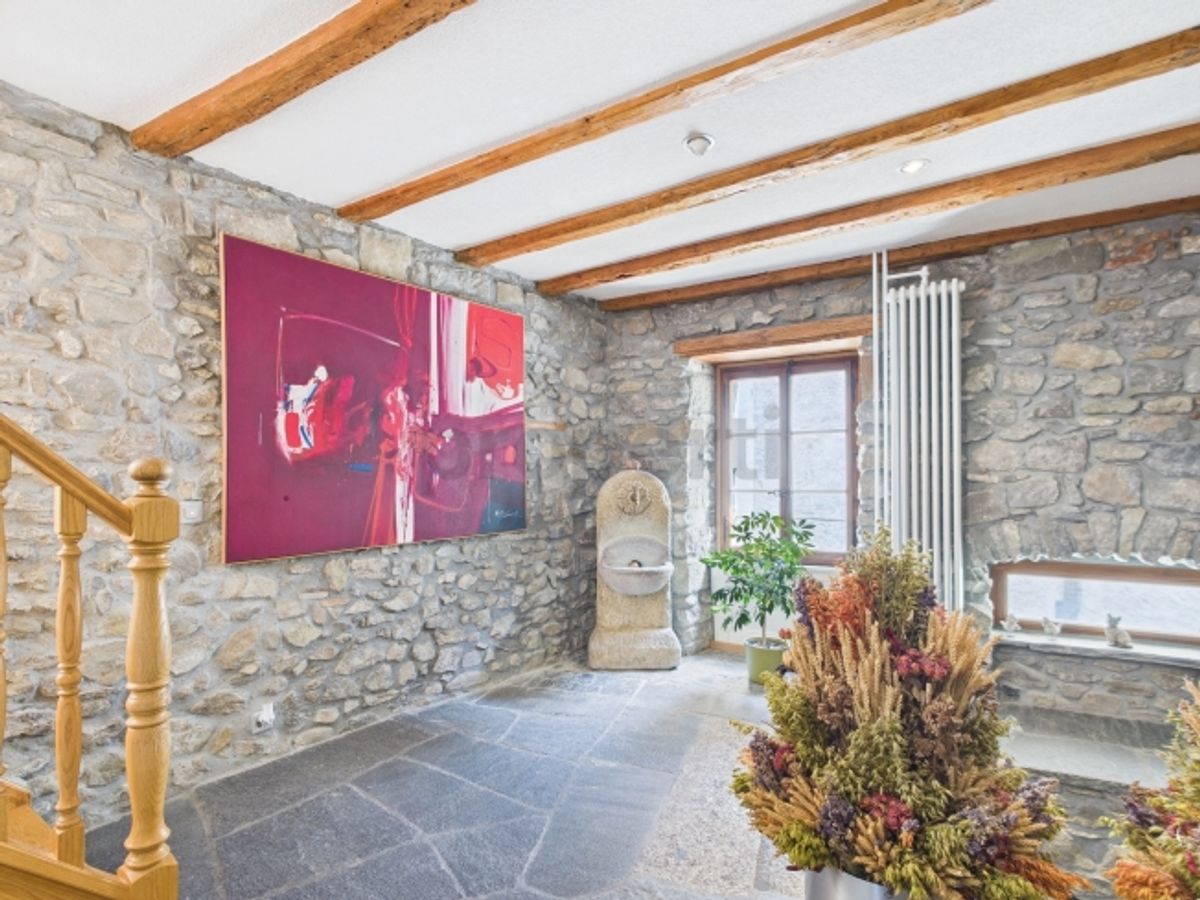 Grande maison de 11 pièces avec cachet  habitation, rendement ou projet mixte - 1