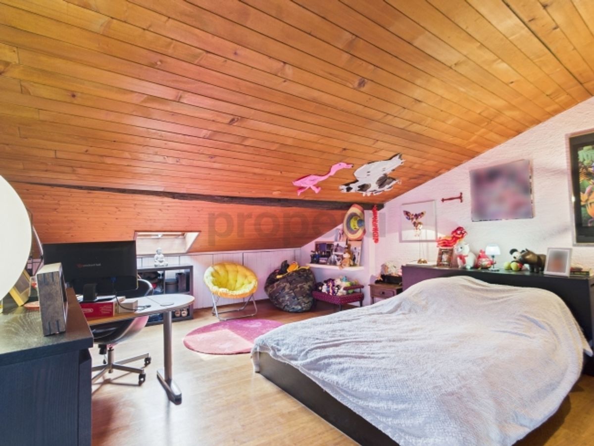 Grande maison de 11 pièces avec cachet  habitation, rendement ou projet mixte - 7