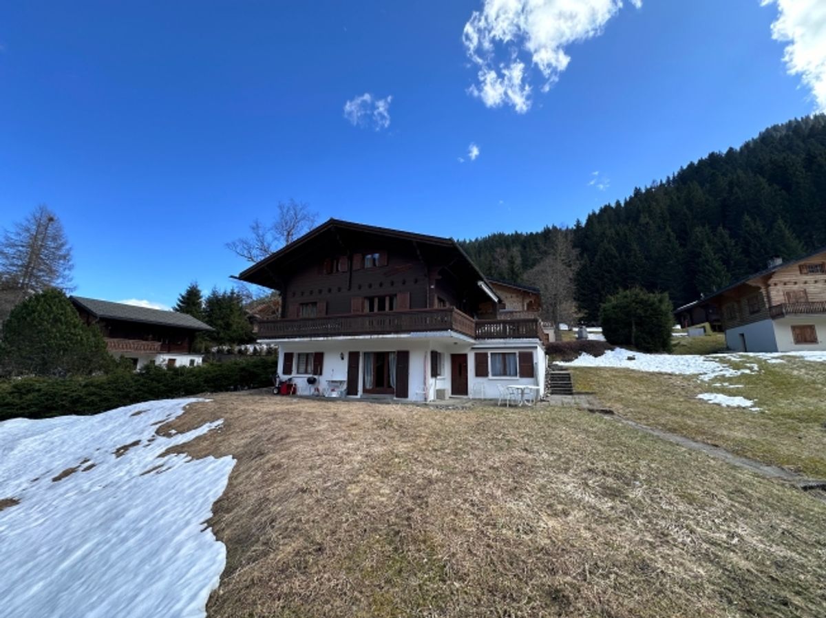 Appartement meublé de rêve au cSur de Morgins - 11