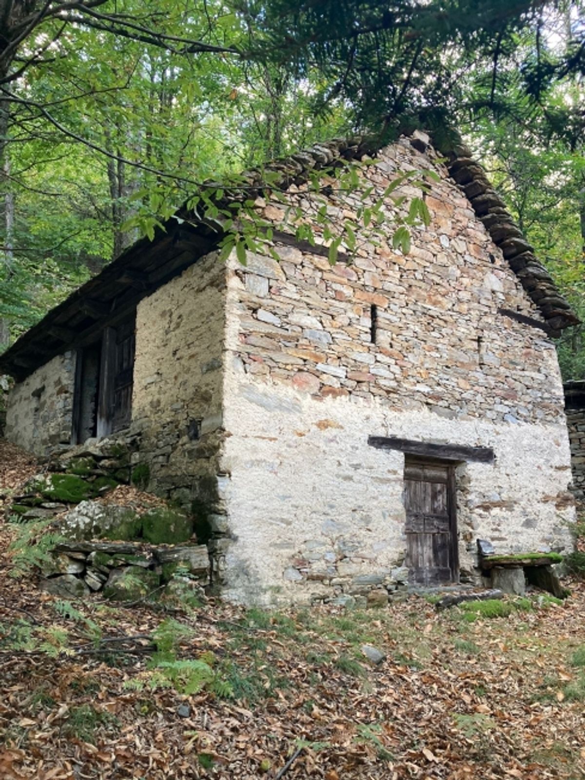 Rustikales Haus in Serravalle / Rustico a Serravalle - 0