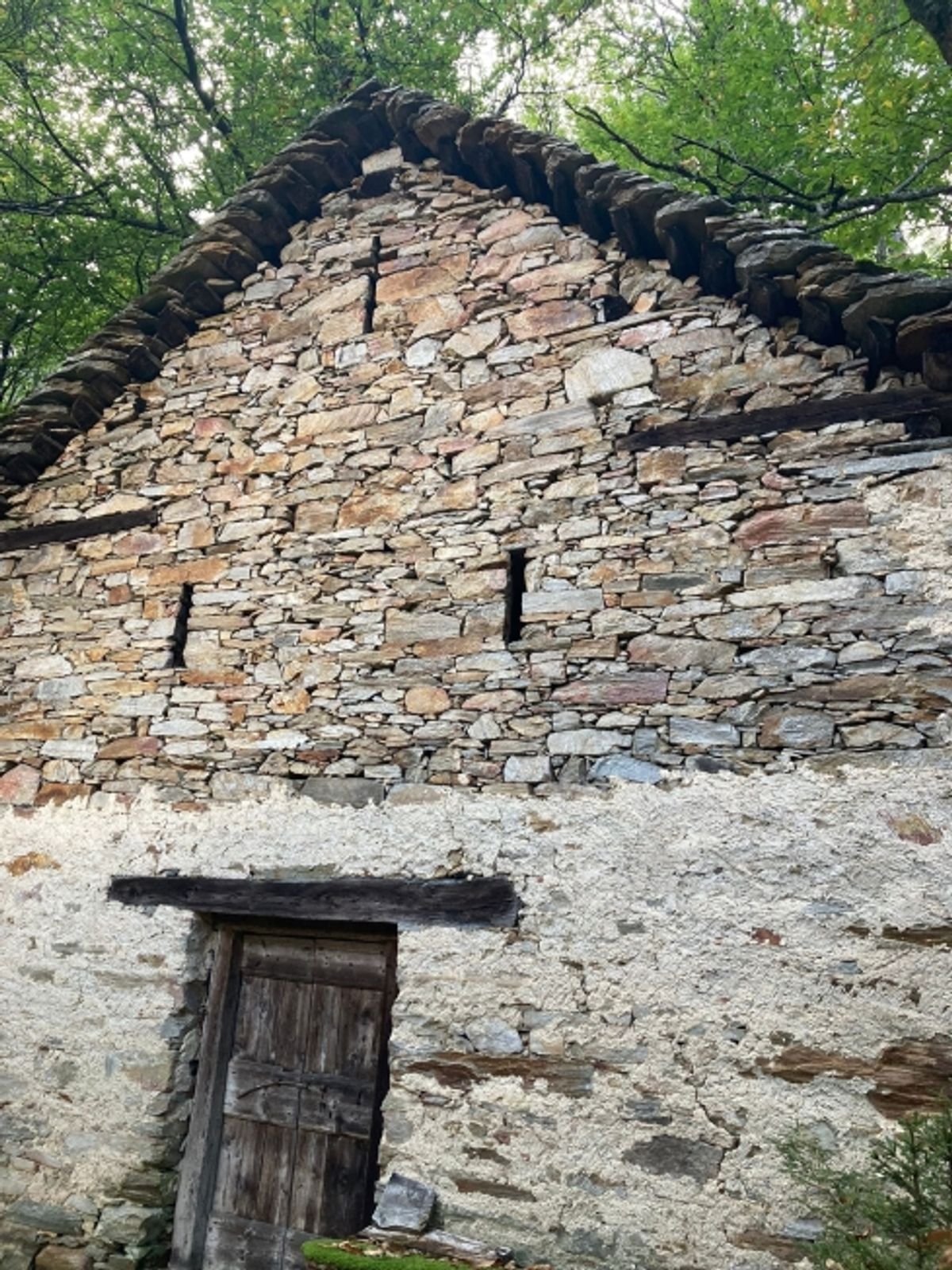 Rustikales Haus in Serravalle / Rustico a Serravalle - 1