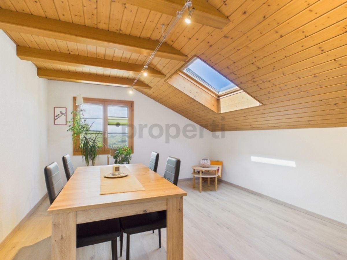 Balkon mit Sempacherseeblick, frisch renoviert und eigener Waschturm - 1