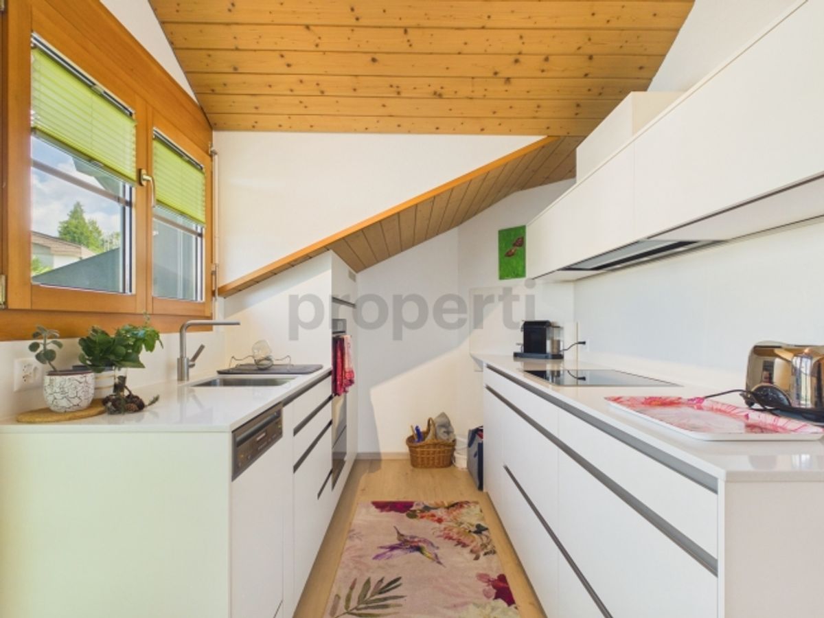 Balkon mit Sempacherseeblick, frisch renoviert und eigener Waschturm - 3
