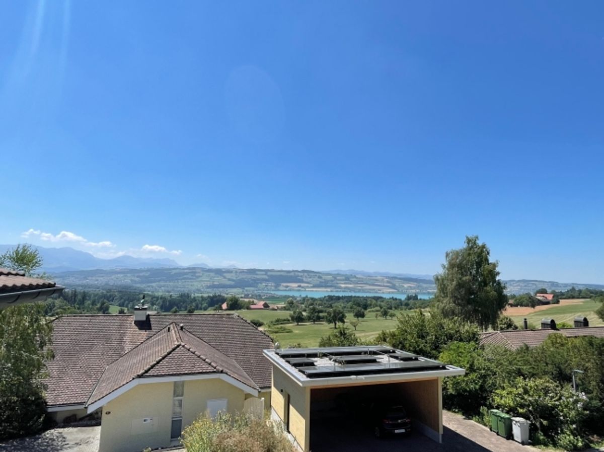 Balkon mit Sempacherseeblick, frisch renoviert und eigener Waschturm - 7