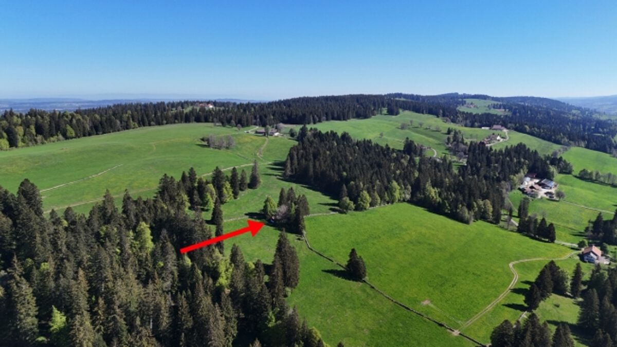 Einfaches Ferienhaus an herrlich idyllischer Lage - 1