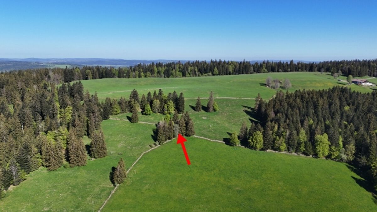 Einfaches Ferienhaus an herrlich idyllischer Lage - 2