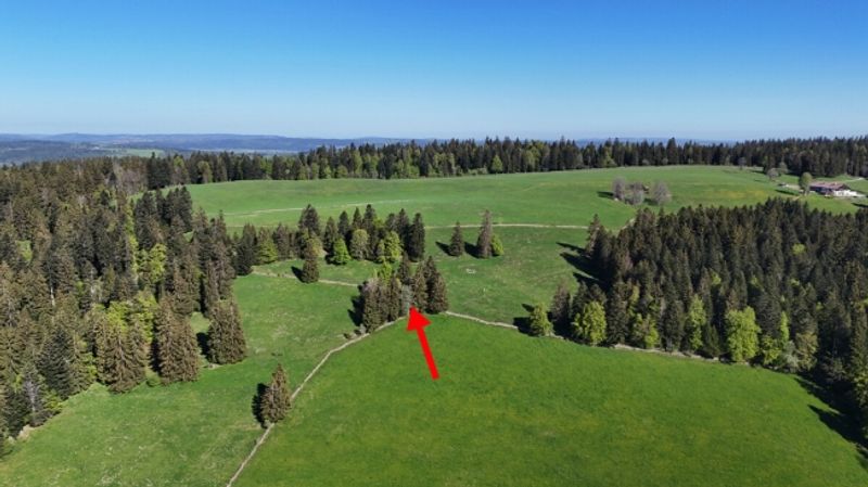 Einfaches Ferienhaus an herrlich idyllischer Lage - 3