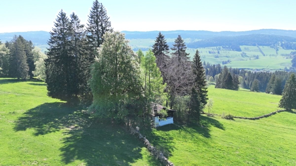 Einfaches Ferienhaus an herrlich idyllischer Lage - 3