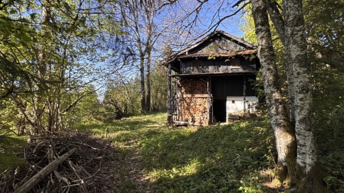 Einfaches Ferienhaus an herrlich idyllischer Lage - 6