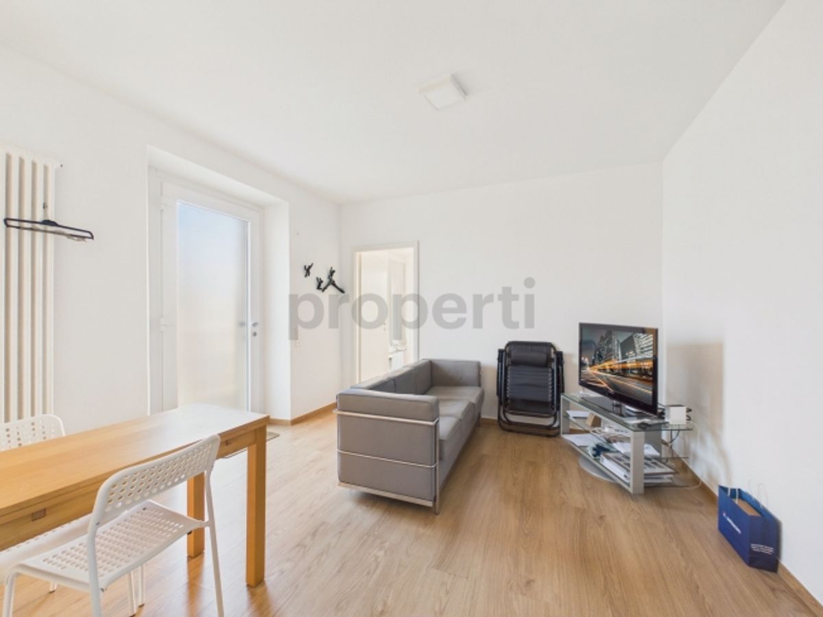 Palazzina ristrutturata nel cuore di Contone un affascinante attico duplex e due appartamenti già locati. - 7
