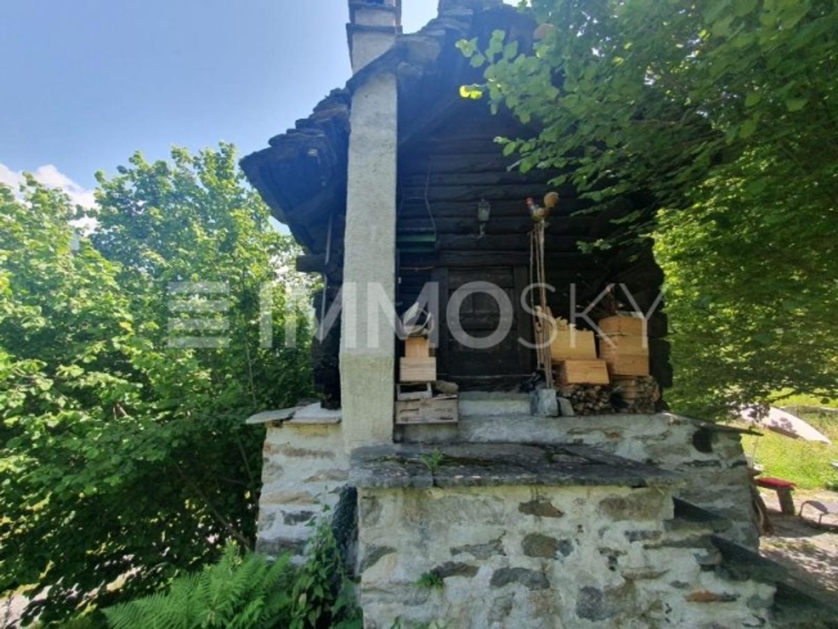 Das Alpennest - 1