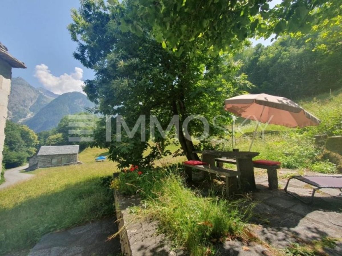 Das Alpennest - 4