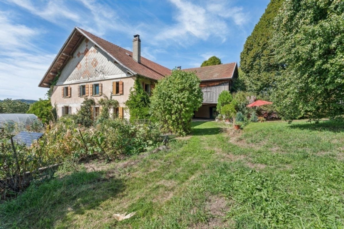 Ferme de caractère de 10.5 pièces avec grand terrain et fort potentiel - 0