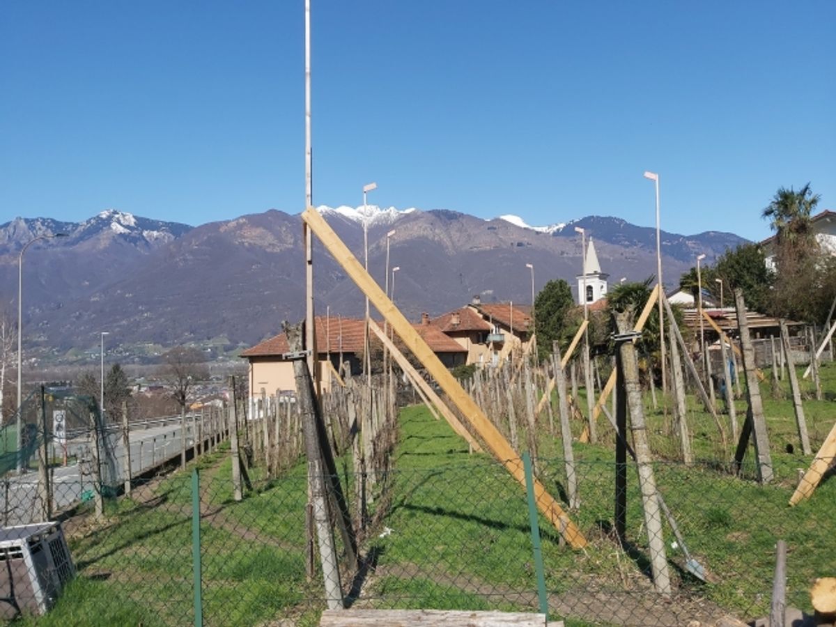 Villetta indipendente in prossima edificazione a Cadenazzo in nuovo complesso residenziale - 3