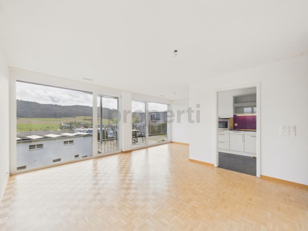 Neu renovierte 2.5-Zimmer-Eigentumswohnung mit Minergie-Standard, Safenwil - 0