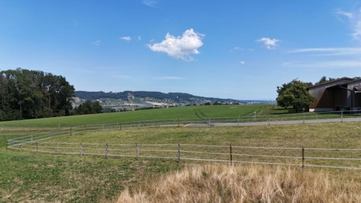 Neubau 5.5-Zi.-Doppeleinfamilienhaus an erhöhter Wohnlage mit Weitsicht in Amlikon-Bissegg (Haus A) - 1