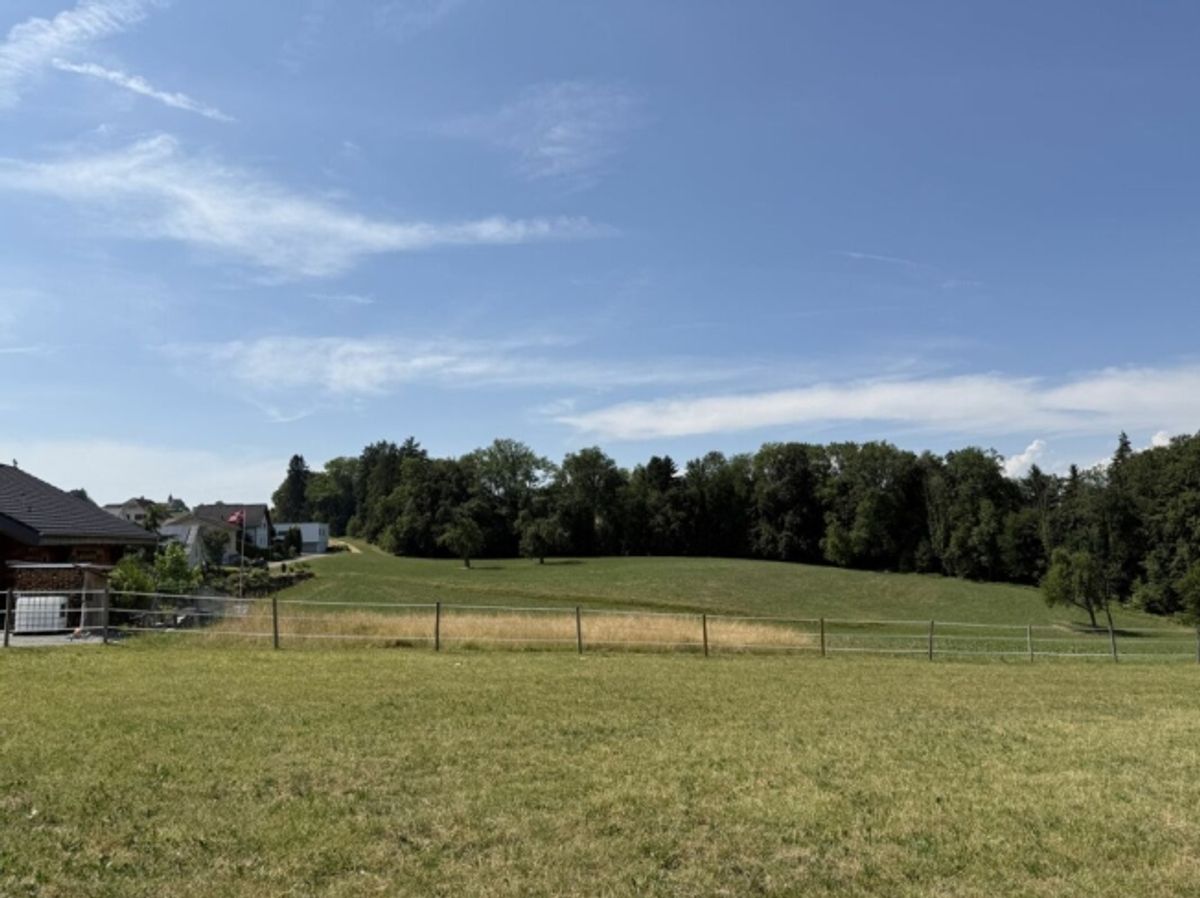Neubau 5.5-Zi.-Doppeleinfamilienhaus an erhöhter Wohnlage mit Weitsicht in Amlikon-Bissegg (Haus A) - 4