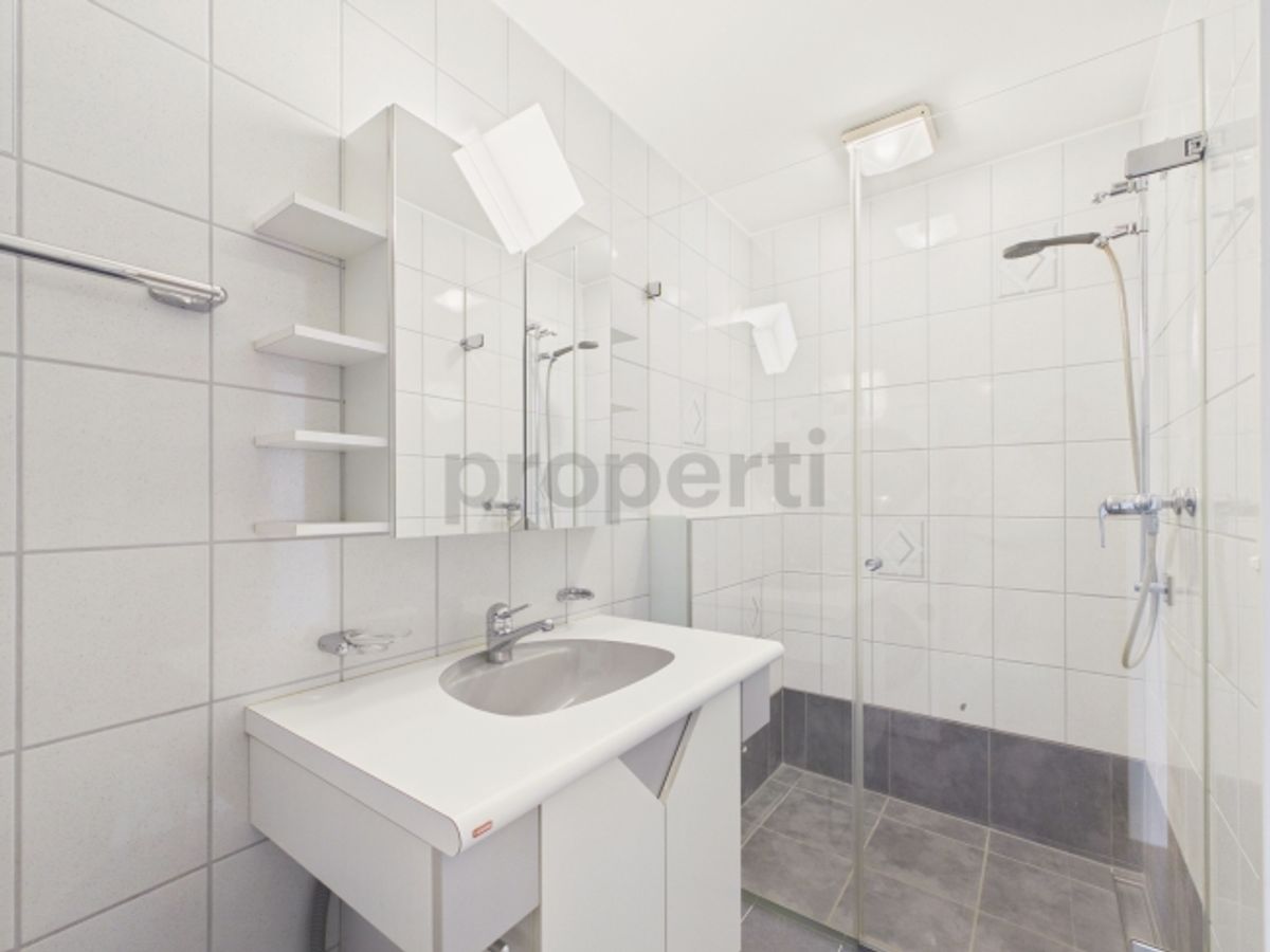 Neu renovierte 4.5-Zimmer-Elegantwohnung mit eigenem Parkplatz, Bubendorf - 10