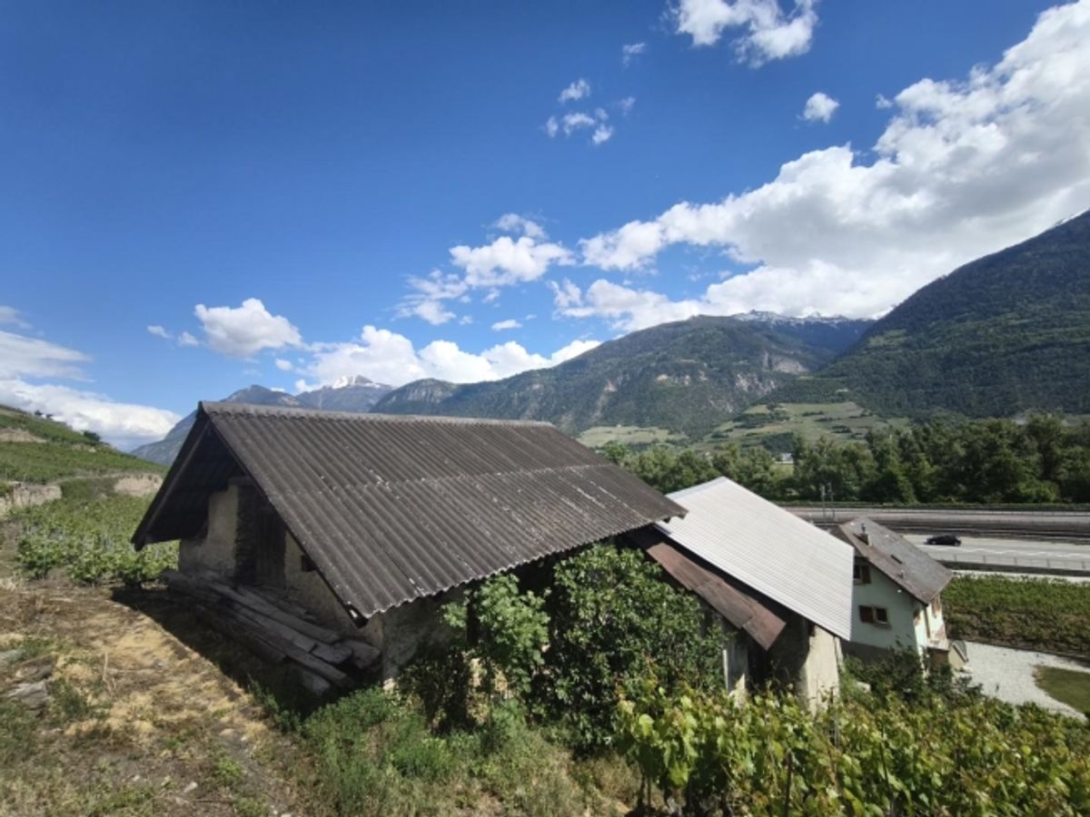 2 SCHEUNEN ZUR RENOVIERUNG VON SIERRE-GELÄNDE MIT 780 M² - 0