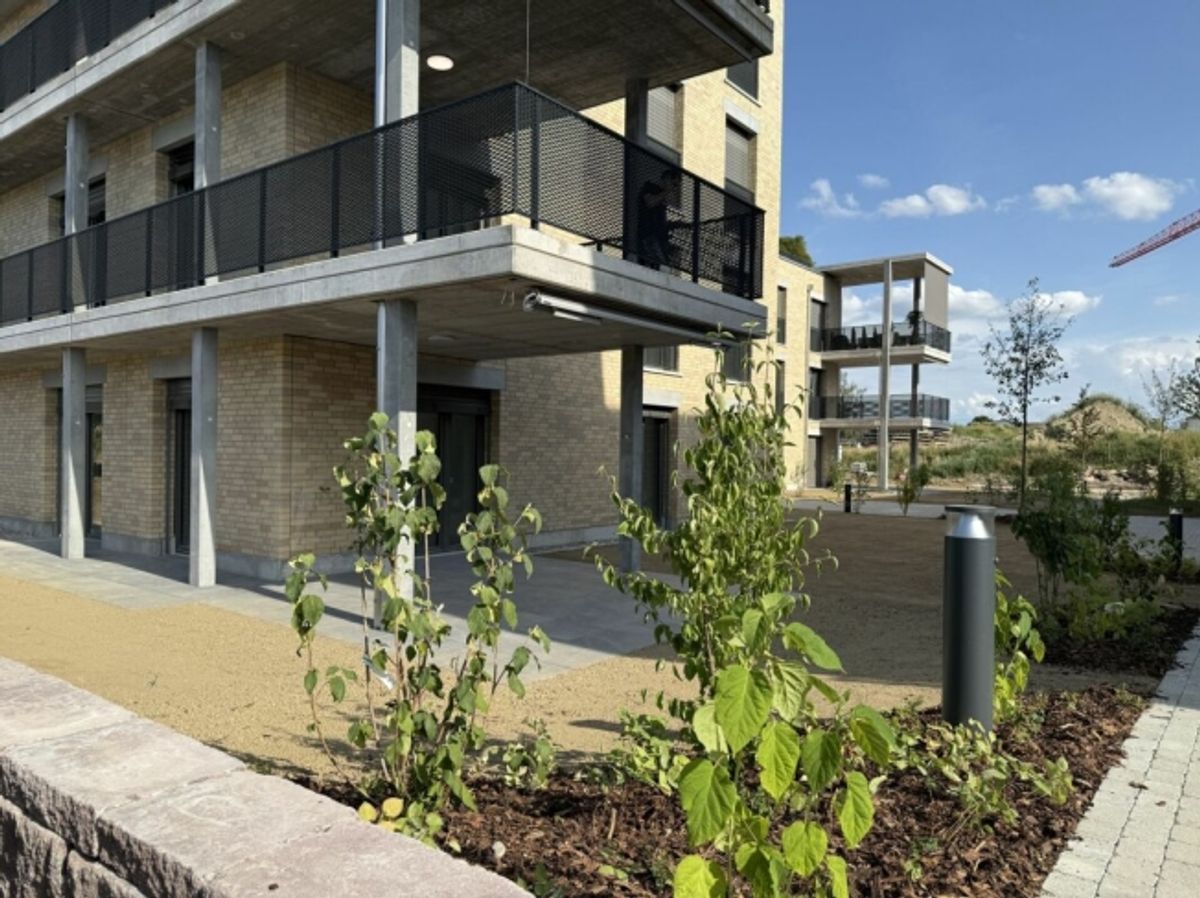 4.5-Zimmer-Erdgeschosswohnung mit grosszügigem Garten (D 0.5) - 6