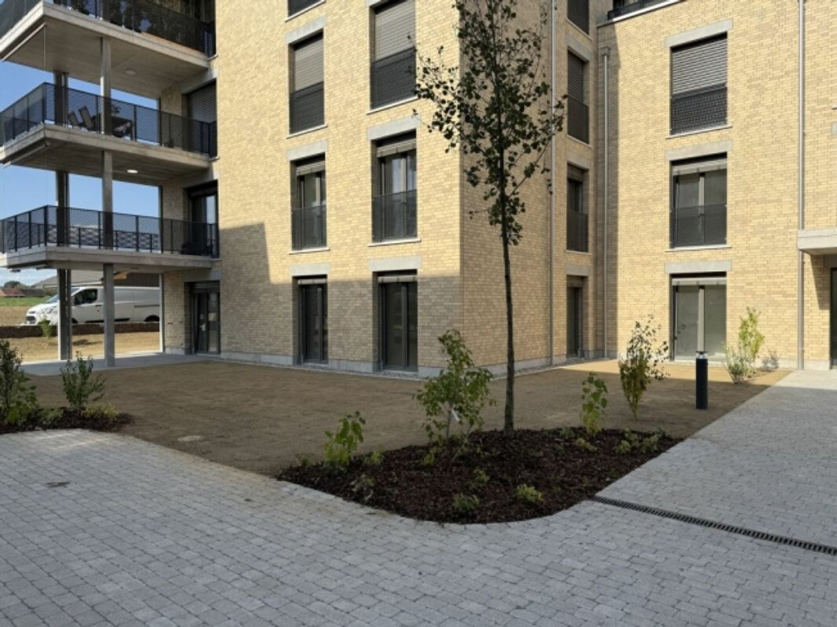 4.5-Zimmer-Erdgeschosswohnung mit grosszügigem Garten (D 0.5) - 13