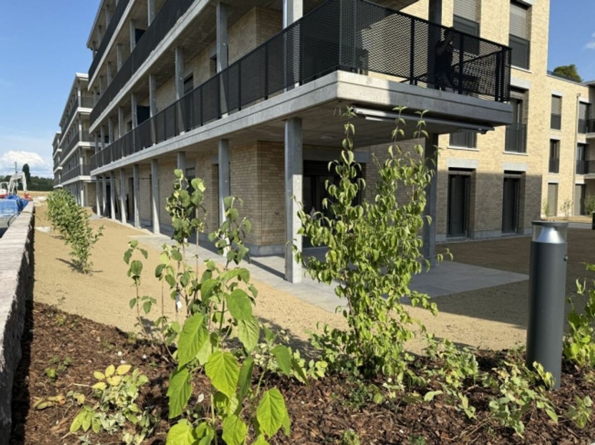 4.5-Zimmer-Erdgeschosswohnung mit grosszügigem Garten (D 0.5) - 14