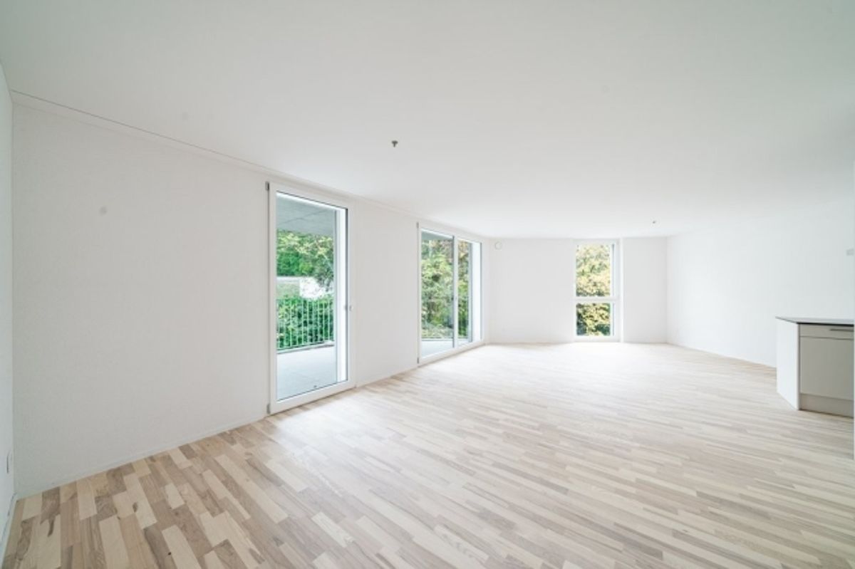 TRAUMHAFTE WOHNUNG IN GRENCHEN ZU VERMIETEN - 0