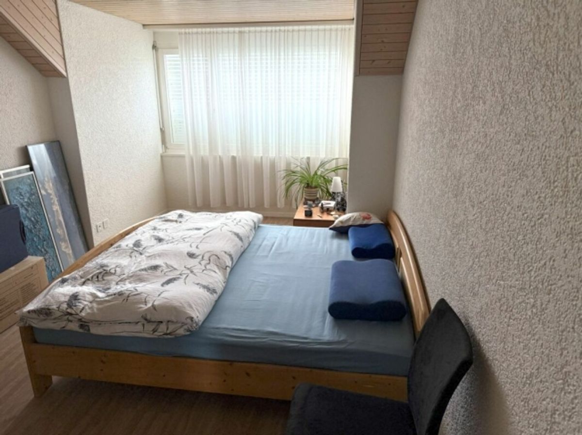 Attikawohnung mit viel Sonne und attraktiver Fernsicht - 14