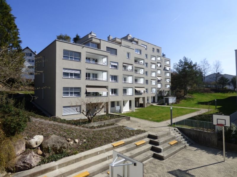 Attraktive Wohnung mit Blick ins schöne Sihltal! - 1