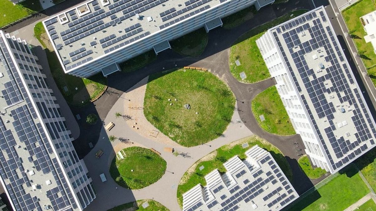 Affittasi spazioso e moderno 3.5 locali, immerso nel verde - 7