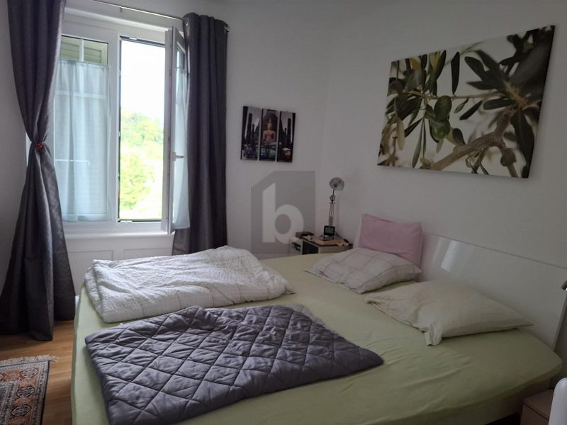 ESPACE ET VERDURE - 5