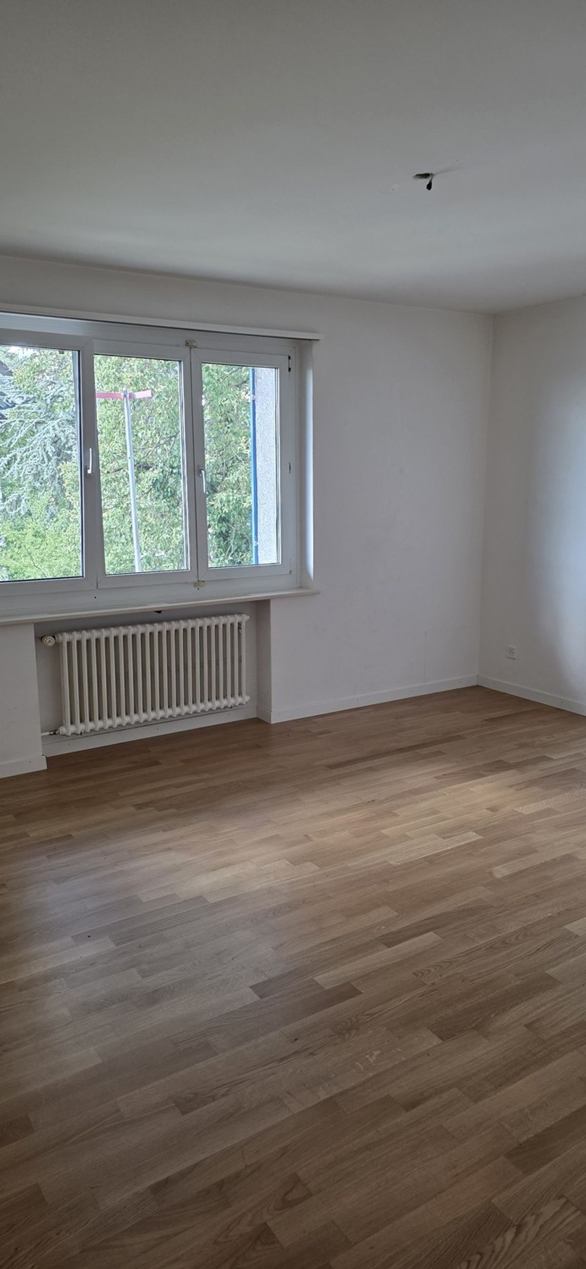 4 Zimmerwohnung EG - befristet bis 30.09.2027 - 5