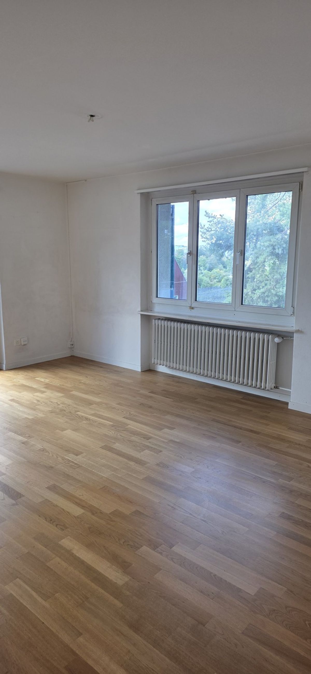 4 Zimmerwohnung EG - befristet bis 30.09.2027 - 6