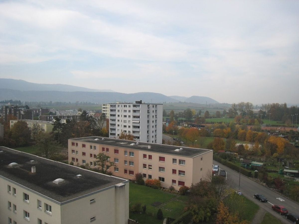Familienwohnung sucht Bewohner in Therwil - 0