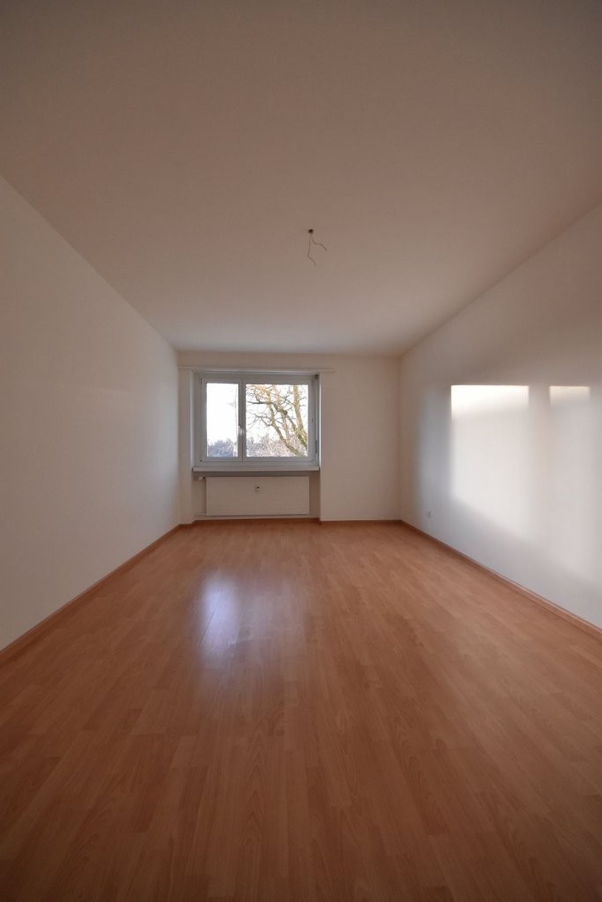 Familienwohnung sucht Bewohner in Therwil - 1