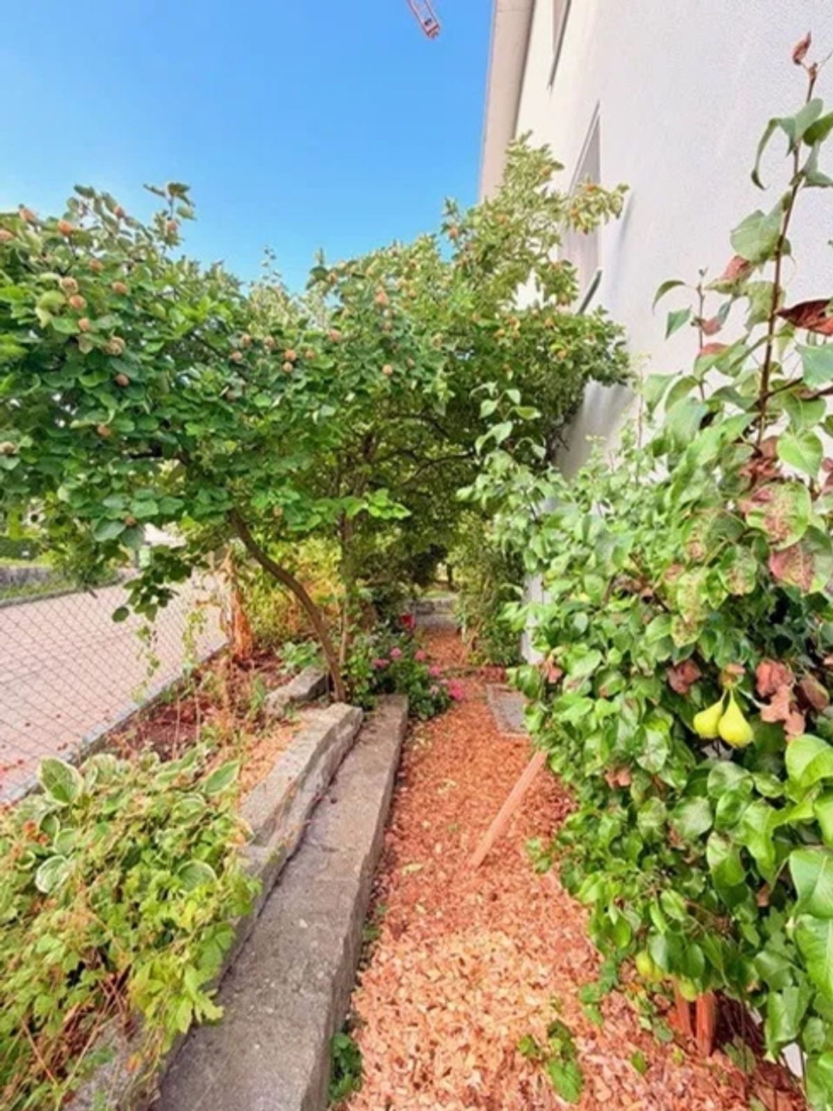 "Aussergewöhnlich grosszügiges 7.5-Zimmer mit Südgarten und vielseitigem 2. Obergeschoss" - 6