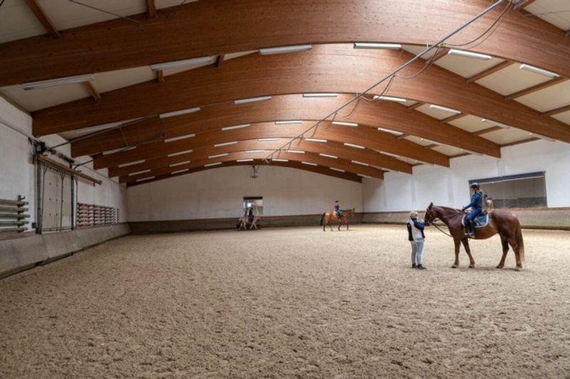 Reitsportimmobilie mit Wohnung/Einzelzimmer und Reitalle - 1