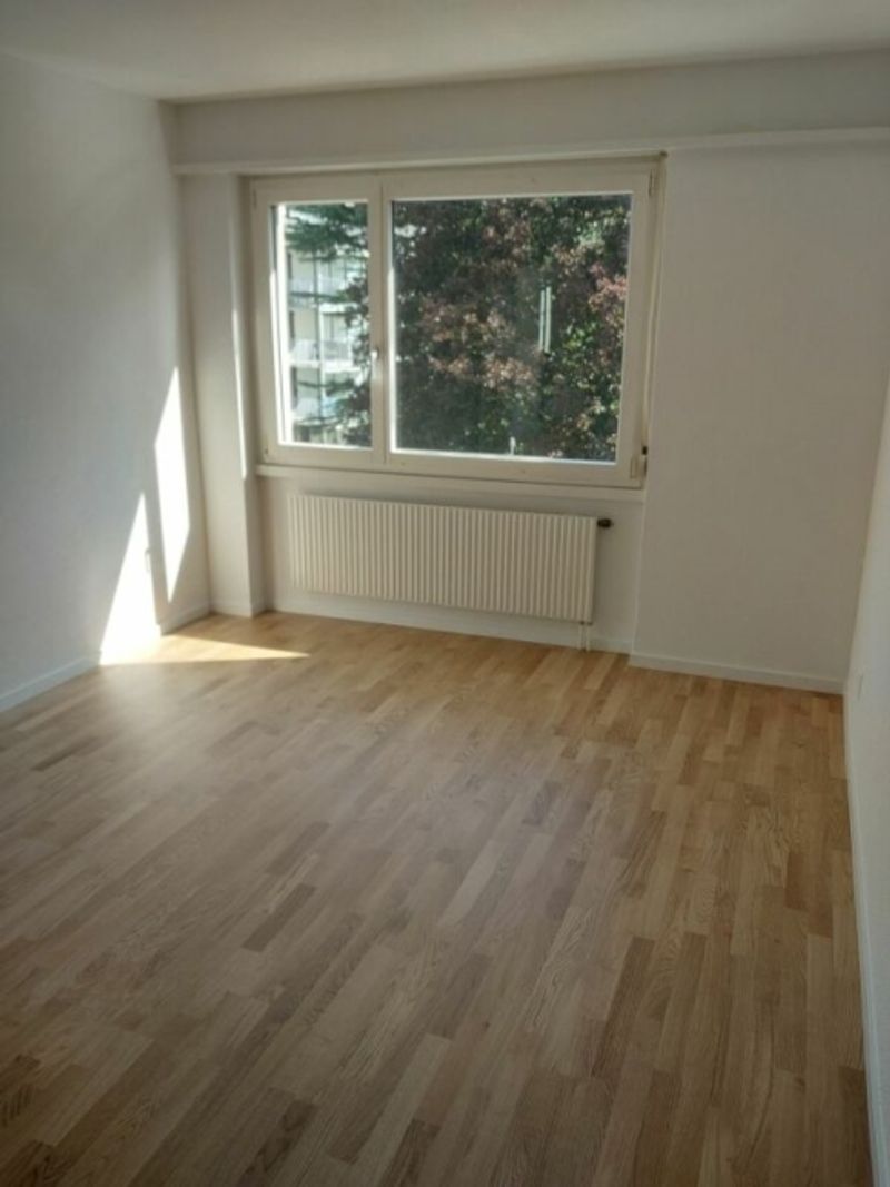 Charmante 4.5 Zimmer-Wohnung im Dietikon - 6