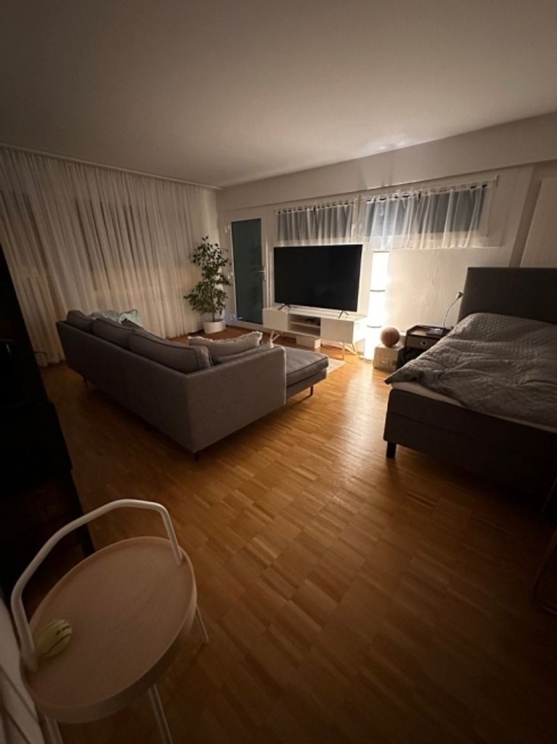 Singlewohnung im Herzen von Baden! - 2