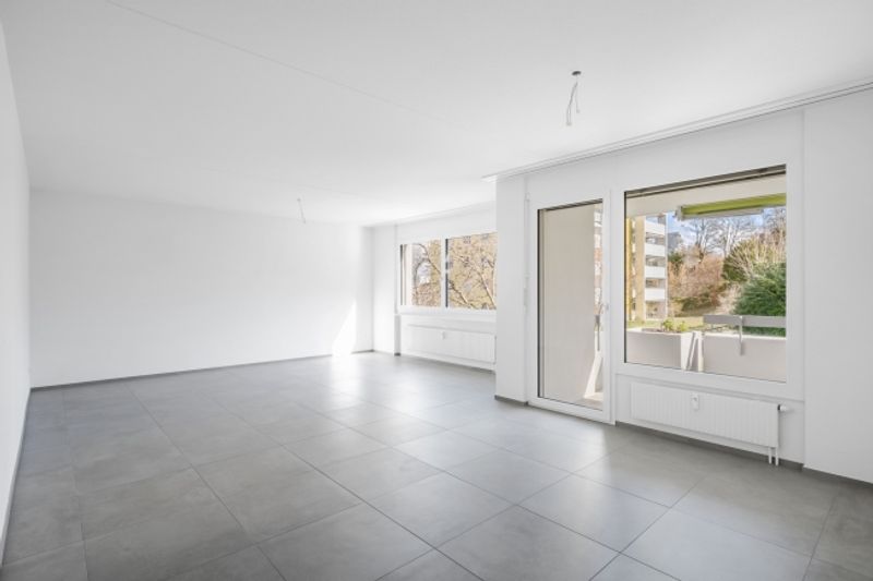 Ihr neues Zuhause im Herzen von Schlieren mit viel Platz für die Familie - 1
