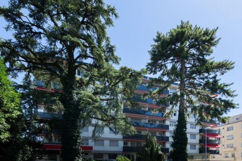 A deux pas du lac ! - 2