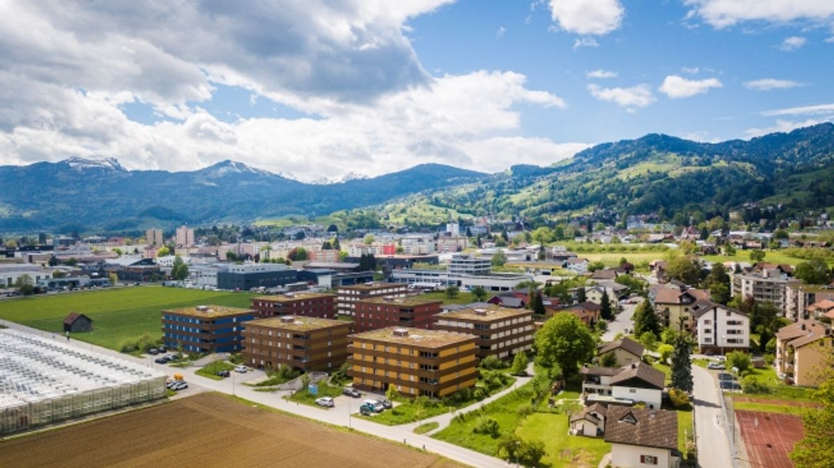 Blick ins Grüne - 1