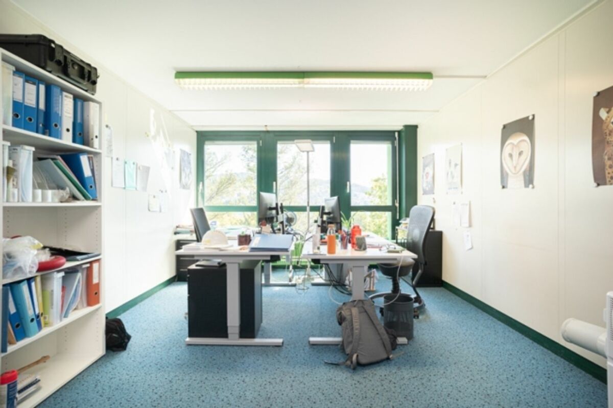 Büro mit Perspektive - direkt am See und nah am Zentrum - 4