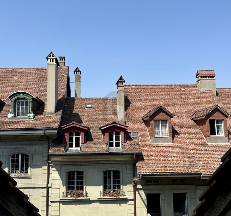 ALTSTADTFLAIR ÜBER DEN DÄCHERN VON BERN - 5