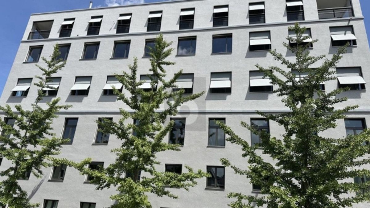 50% PREISVORTEIL FÜR 1 JAHR AN PERFEKTER LAGE - 4