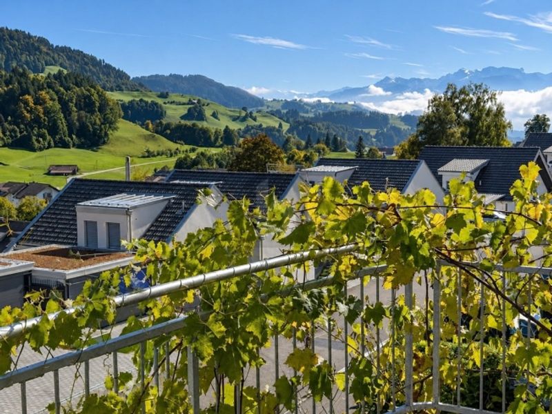 PANORAMASICHT MIT VIEL PLATZ UND FLEXIBLER NUTZUNG - 2